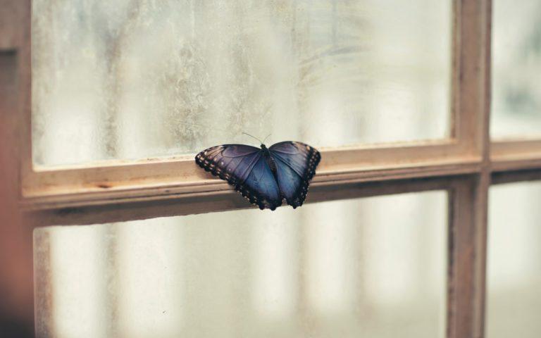 Transformation Must Go Through The Heart