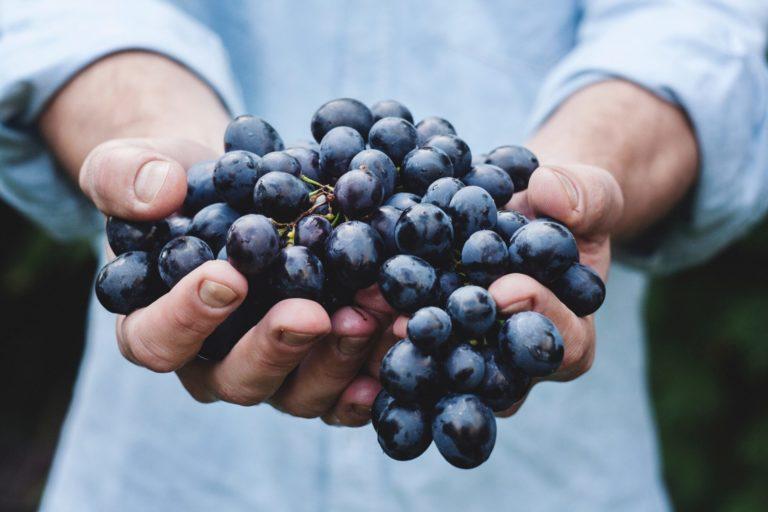 Planting Churches: More, Bigger or Both?
