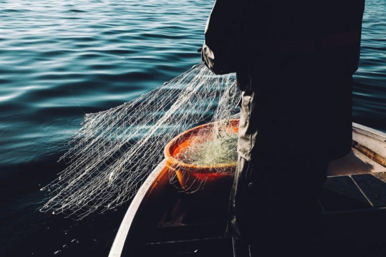 Going Fishing