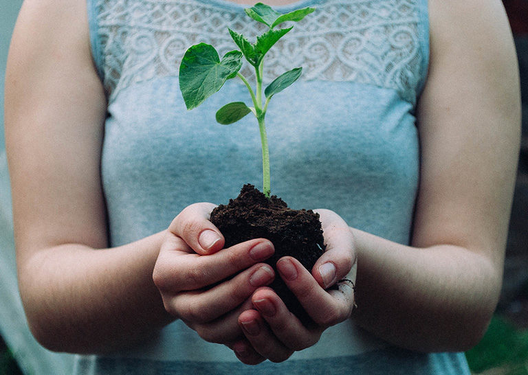 The Secret to Spiritual Growth as a Disciple