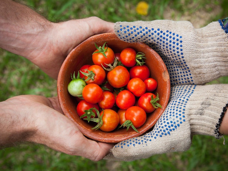 Building an Evangelistic Culture