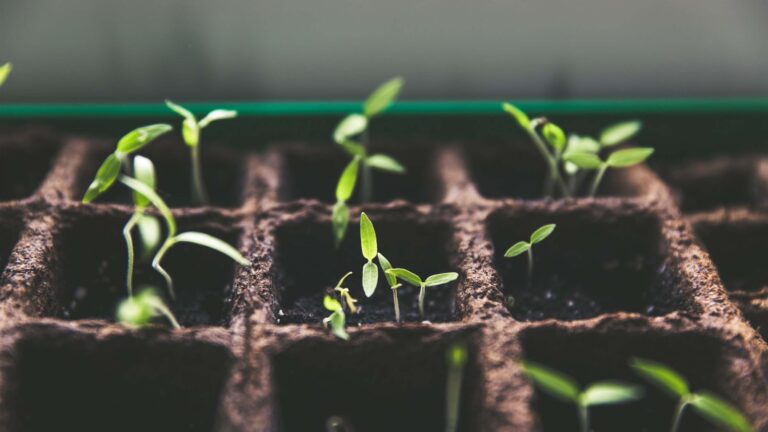 4 Mistakes Preventing Your Church From Making Disciple Makers