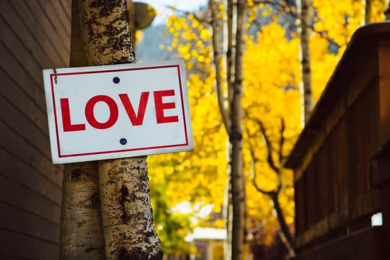 How to Love Your Neighbors