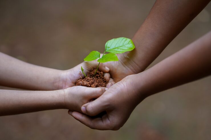 Discipling Children: Providing for the Plant (Part 2)