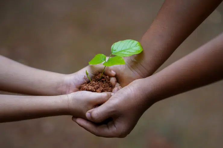 Discipling Children: Providing for the Plant (Part 2)