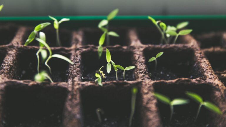 God Wants You to Grow in Your Walk With Him