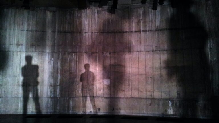 Out of the Shadows