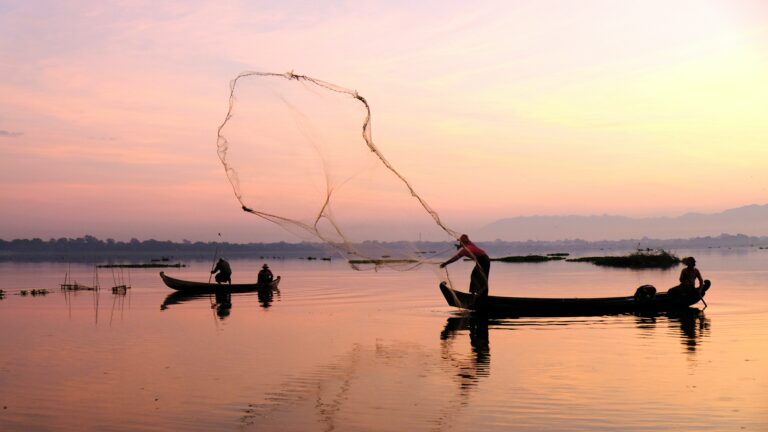 Learning To Fish