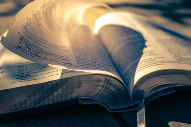Four Expressions of God’s Love