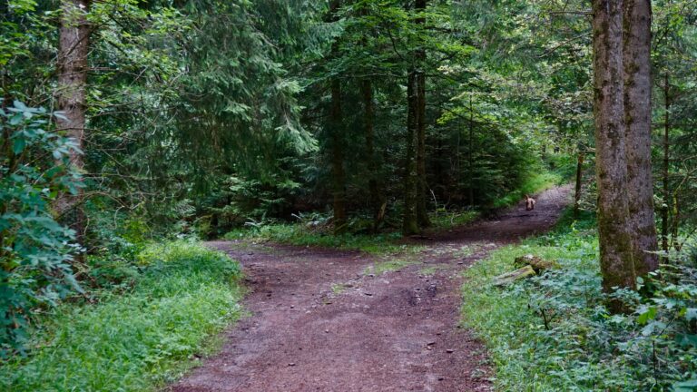 Two Divergent Paths: Building a Lasting Impact