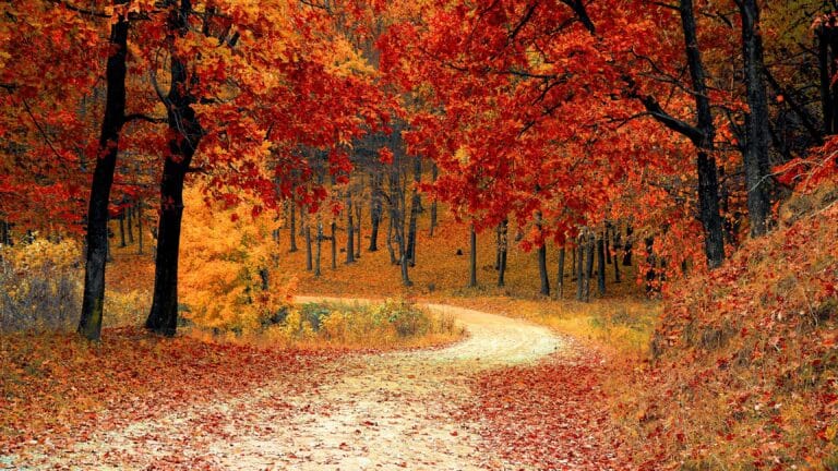 A Discipleship Pathway Solves THIS Problem, but NOT This One