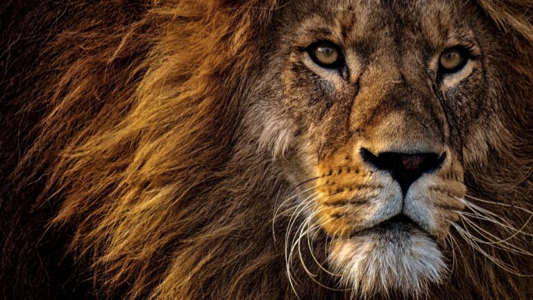 THE GREATEST COMMANDMENT, PART 4: WITH ALL YOUR STRENGTH