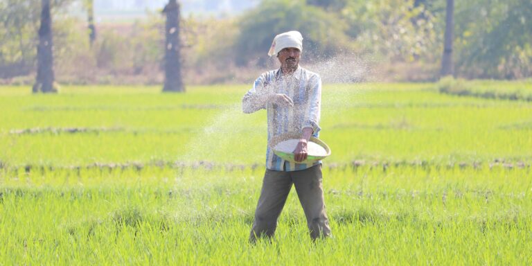 Embracing the Disciple-Making Culture: Lessons from South Asia