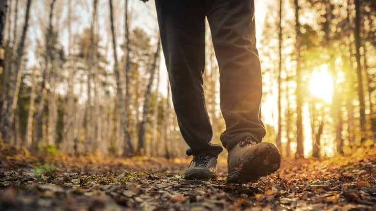 Hiking and Disciplemaking