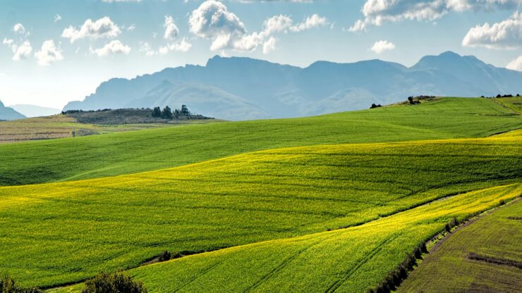 How to Engage Your Field Like Jesus Did
